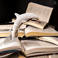 Stacks Image 87